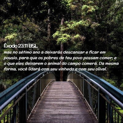 Picture 02 - Êxodo 23:11 BSL - mas no sétimo ano a deixarás descansar e ficar - Bible Verse Picture