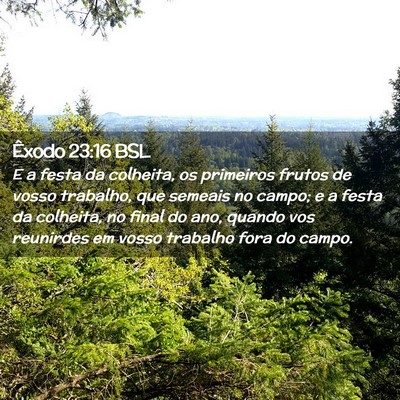 Picture 02 - Êxodo 23:16 BSL - E a festa da colheita, os primeiros frutos de - Bible Verse Picture