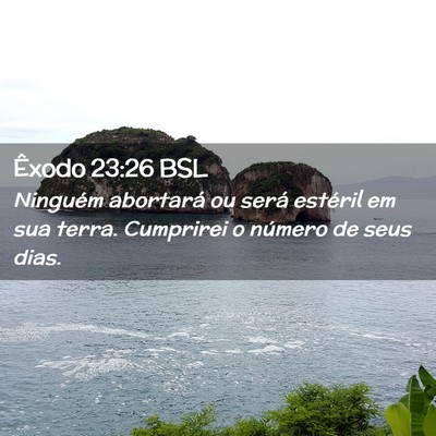 Picture 02 - Êxodo 23:26 BSL - Ninguém abortará ou será estéril em sua - Bible Verse Picture