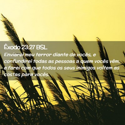 Picture 02 - Êxodo 23:27 BSL - Enviarei meu terror diante de vocês, e - Bible Verse Picture