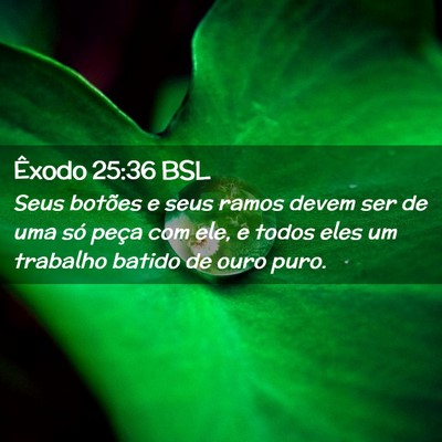 Picture 02 - Êxodo 25:36 BSL - Seus botões e seus ramos devem ser de uma só - Bible Verse Picture