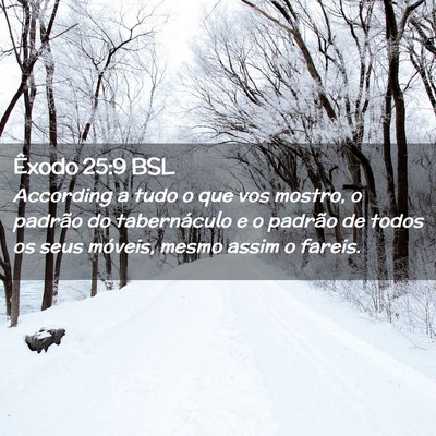 Picture 02 - Êxodo 25:9 BSL - According a tudo o que vos mostro, o padrão do - Bible Verse Picture