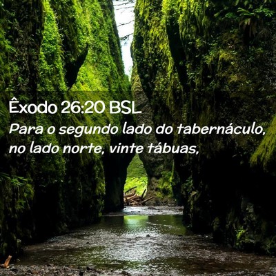Picture 02 - Êxodo 26:20 BSL - Para o segundo lado do tabernáculo, no lado - Bible Verse Picture