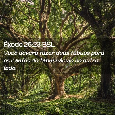 Picture 02 - Êxodo 26:23 BSL - Você deverá fazer duas tábuas para os cantos - Bible Verse Picture