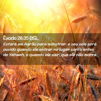 Picture 02 - Êxodo 28:35 BSL - Estará em Aarão para ministrar: e seu som será - Bible Verse Picture