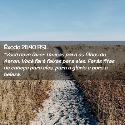 Picture 02 - Êxodo 28:40 BSL - “Você deve fazer túnicas para os filhos de - Bible Verse Picture