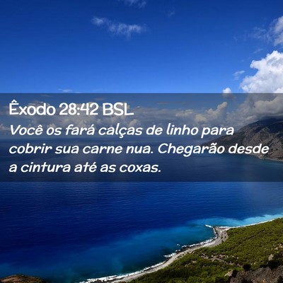 Picture 02 - Êxodo 28:42 BSL - Você os fará calças de linho para cobrir sua - Bible Verse Picture