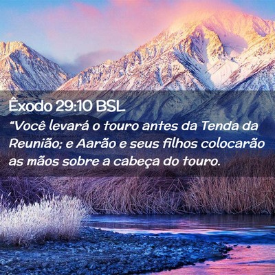 Picture 02 - Êxodo 29:10 BSL - “Você levará o touro antes da Tenda da - Bible Verse Picture