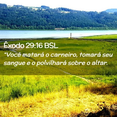 Picture 02 - Êxodo 29:16 BSL - “Você matará o carneiro, tomará seu sangue e - Bible Verse Picture
