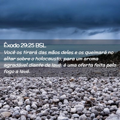 Picture 02 - Êxodo 29:25 BSL - Você os tirará das mãos deles e os queimará - Bible Verse Picture