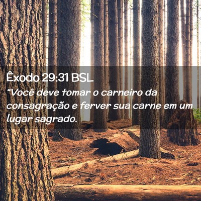 Picture 02 - Êxodo 29:31 BSL - “Você deve tomar o carneiro da consagração e - Bible Verse Picture