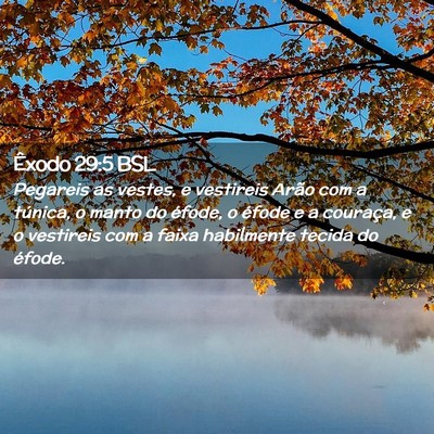 Picture 02 - Êxodo 29:5 BSL - Pegareis as vestes, e vestireis Arão com a - Bible Verse Picture