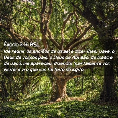 Picture 02 - Êxodo 3:16 BSL - Ide reunir os anciãos de Israel e dizei-lhes: - Bible Verse Picture