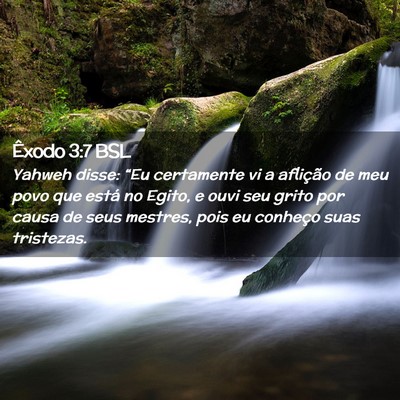 Picture 02 - Êxodo 3:7 BSL - Yahweh disse: “Eu certamente vi a aflição de - Bible Verse Picture
