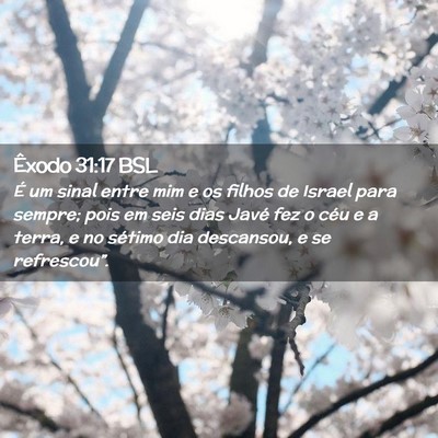 Picture 02 - Êxodo 31:17 BSL - É um sinal entre mim e os filhos de Israel para - Bible Verse Picture