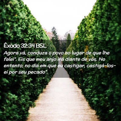 Picture 02 - Êxodo 32:34 BSL - Agora vá, conduza o povo ao lugar de que lhe - Bible Verse Picture