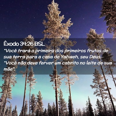 Picture 02 - Êxodo 34:26 BSL - “Você trará o primeiro dos primeiros frutos - Bible Verse Picture