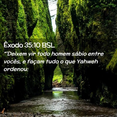 Picture 02 - Êxodo 35:10 BSL - “'Deixem vir todo homem sábio entre vocês, e - Bible Verse Picture
