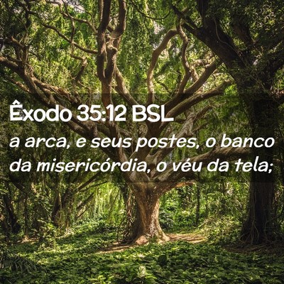 Picture 02 - Êxodo 35:12 BSL - a arca, e seus postes, o banco da misericórdia, - Bible Verse Picture