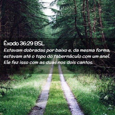 Picture 02 - Êxodo 36:29 BSL - Estavam dobradas por baixo e, da mesma forma, - Bible Verse Picture
