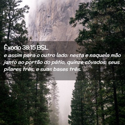 Picture 02 - Êxodo 38:15 BSL - e assim para o outro lado: nesta e naquela mão - Bible Verse Picture