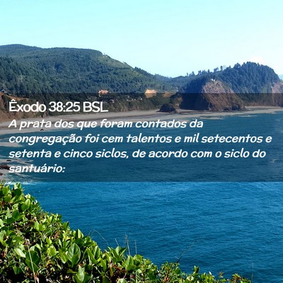 Picture 02 - Êxodo 38:25 BSL - A prata dos que foram contados da congregação - Bible Verse Picture