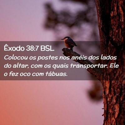 Picture 02 - Êxodo 38:7 BSL - Colocou os postes nos anéis dos lados do altar, - Bible Verse Picture