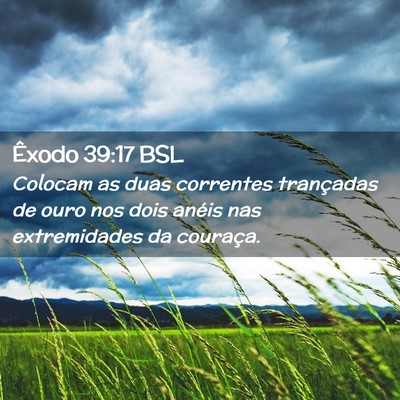 Picture 02 - Êxodo 39:17 BSL - Colocam as duas correntes trançadas de ouro nos - Bible Verse Picture