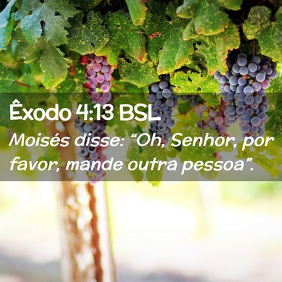Picture 02 - Êxodo 4:13 BSL - Moisés disse: “Oh, Senhor, por favor, mande - Bible Verse Picture