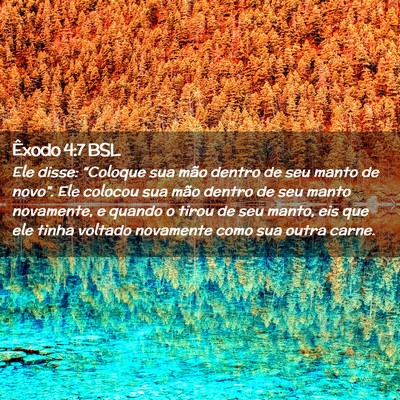 Picture 02 - Êxodo 4:7 BSL - Ele disse: “Coloque sua mão dentro de seu - Bible Verse Picture