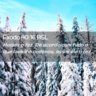 Picture 02 - Êxodo 40:16 BSL - Moisés o fez. De acordo com tudo o que Iavé lhe - Bible Verse Picture