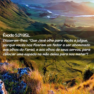 Picture 02 - Êxodo 5:21 BSL - Disseram-lhes: “Que Javé olhe para vocês e - Bible Verse Picture