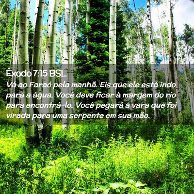 Picture 02 - Êxodo 7:15 BSL - Vá ao Faraó pela manhã. Eis que ele está indo - Bible Verse Picture