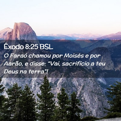 Picture 02 - Êxodo 8:25 BSL - O Faraó chamou por Moisés e por Aarão, e - Bible Verse Picture