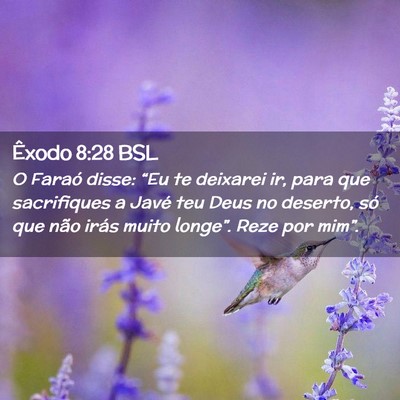 Picture 02 - Êxodo 8:28 BSL - O Faraó disse: “Eu te deixarei ir, para que - Bible Verse Picture