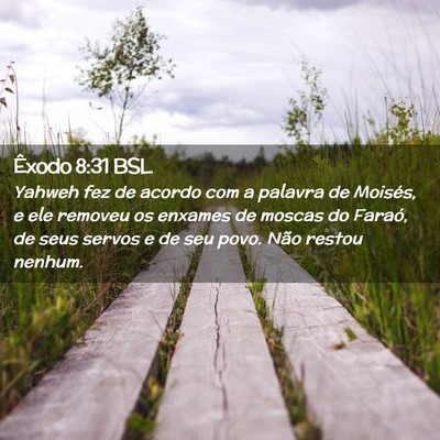 Picture 02 - Êxodo 8:31 BSL - Yahweh fez de acordo com a palavra de Moisés, e - Bible Verse Picture