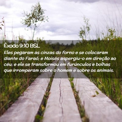 Picture 02 - Êxodo 9:10 BSL - Eles pegaram as cinzas do forno e se colocaram - Bible Verse Picture
