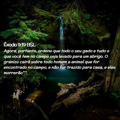 Picture 02 - Êxodo 9:19 BSL - Agora, portanto, ordene que todo o seu gado e - Bible Verse Picture