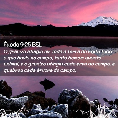 Picture 02 - Êxodo 9:25 BSL - O granizo atingiu em toda a terra do Egito tudo o - Bible Verse Picture