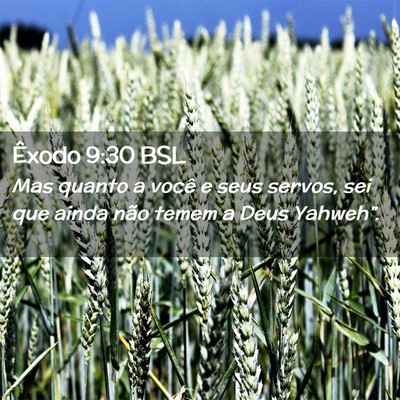 Picture 02 - Êxodo 9:30 BSL - Mas quanto a você e seus servos, sei que ainda - Bible Verse Picture