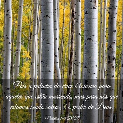 Picture 03 - 1 Coríntios 1:18 BSL - Pois a palavra da cruz é loucura para aqueles - Bible Verse Picture