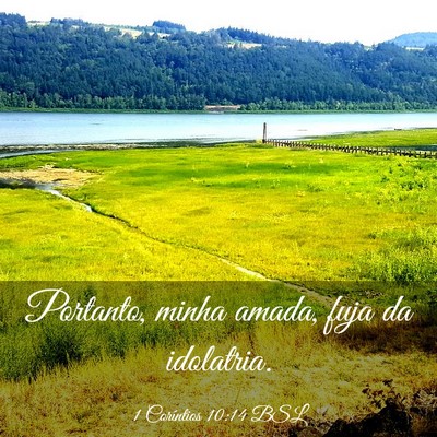 Picture 03 - 1 Coríntios 10:14 BSL - Portanto, minha amada, fuja da - Bible Verse Picture