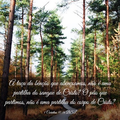 Picture 03 - 1 Coríntios 10:16 BSL - A taça da bênção que abençoamos, não é uma - Bible Verse Picture