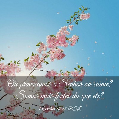 Picture 03 - 1 Coríntios 10:22 BSL - Ou provocamos o Senhor ao ciúme? Somos mais - Bible Verse Picture