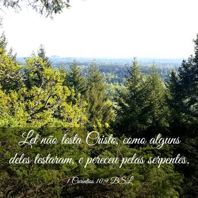 Picture 03 - 1 Coríntios 10:9 BSL - Let não testa Cristo, como alguns deles - Bible Verse Picture
