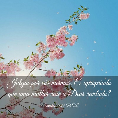 Picture 03 - 1 Coríntios 11:13 BSL - Julgai por vós mesmos. É apropriado que uma - Bible Verse Picture
