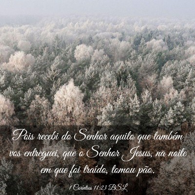 Picture 03 - 1 Coríntios 11:23 BSL - Pois recebi do Senhor aquilo que também vos - Bible Verse Picture