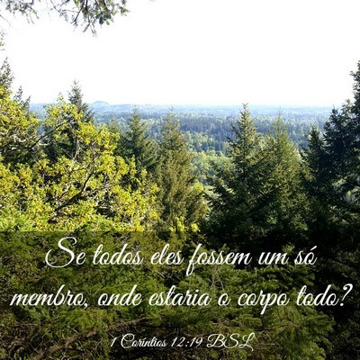 Picture 03 - 1 Coríntios 12:19 BSL - Se todos eles fossem um só membro, onde estaria - Bible Verse Picture