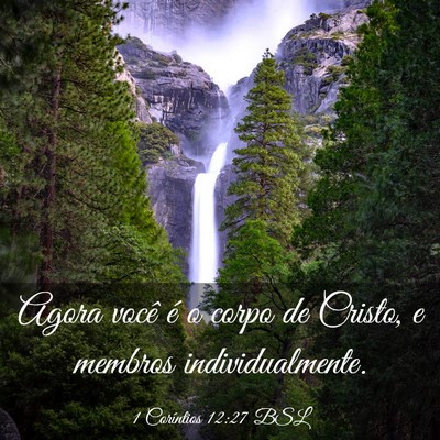 Picture 03 - 1 Coríntios 12:27 BSL - Agora você é o corpo de Cristo, e membros - Bible Verse Picture
