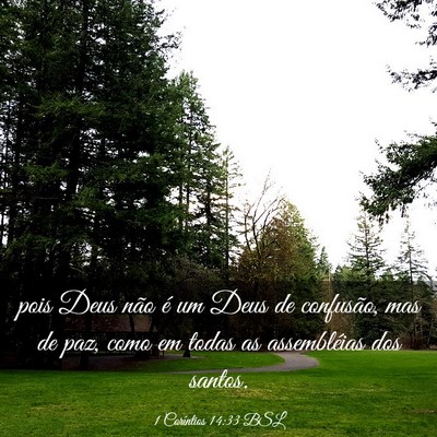 Picture 03 - 1 Coríntios 14:33 BSL - pois Deus não é um Deus de confusão, mas de - Bible Verse Picture